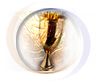 Signo da Ta�a
