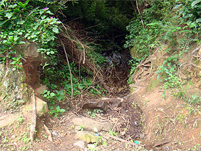Foto da entrada da trilha