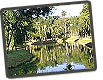 Foto do Parque Mariano Proc�pio