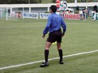 Bandeirinha