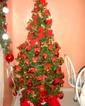 Foto de �rvore de Natal