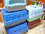 Foto de caixas
para transporte de animais