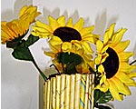 Foto de um
vaso de flor reciclado