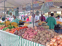 Foto de uma banca de feira com v�rioa alimentos, como inhame, tomate, celbola e pepino