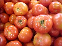 tomate