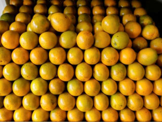 Foto de laranjas