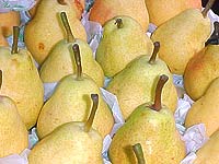 Foto de uma banca de frutas com várias  peras
