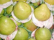 Foto de uma banca de frutas com várias peras
