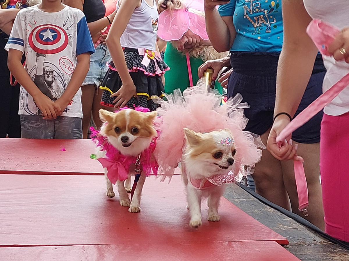 Cobertura fotográfica do Blocão 2023