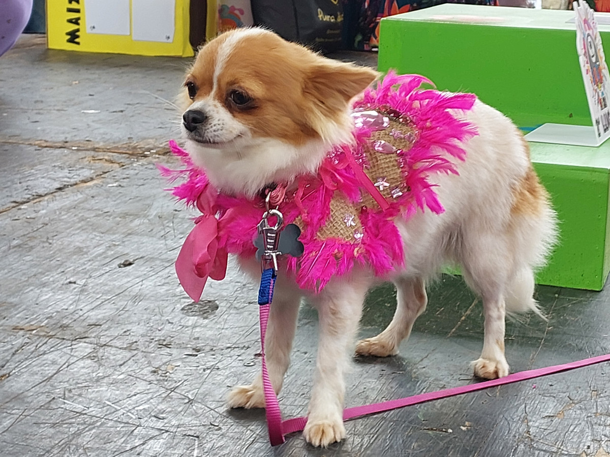 Cobertura fotográfica do Blocão 2023