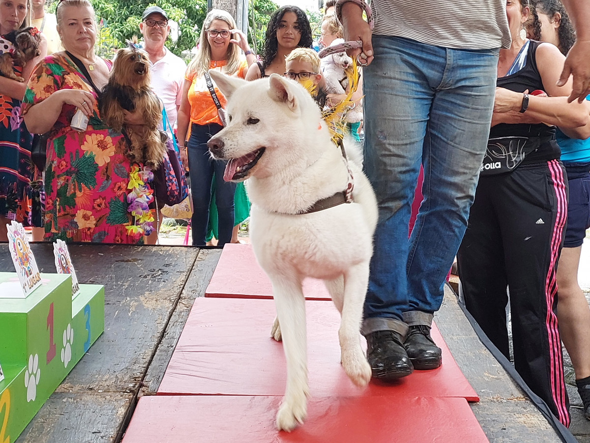 Cobertura fotográfica do Blocão 2023