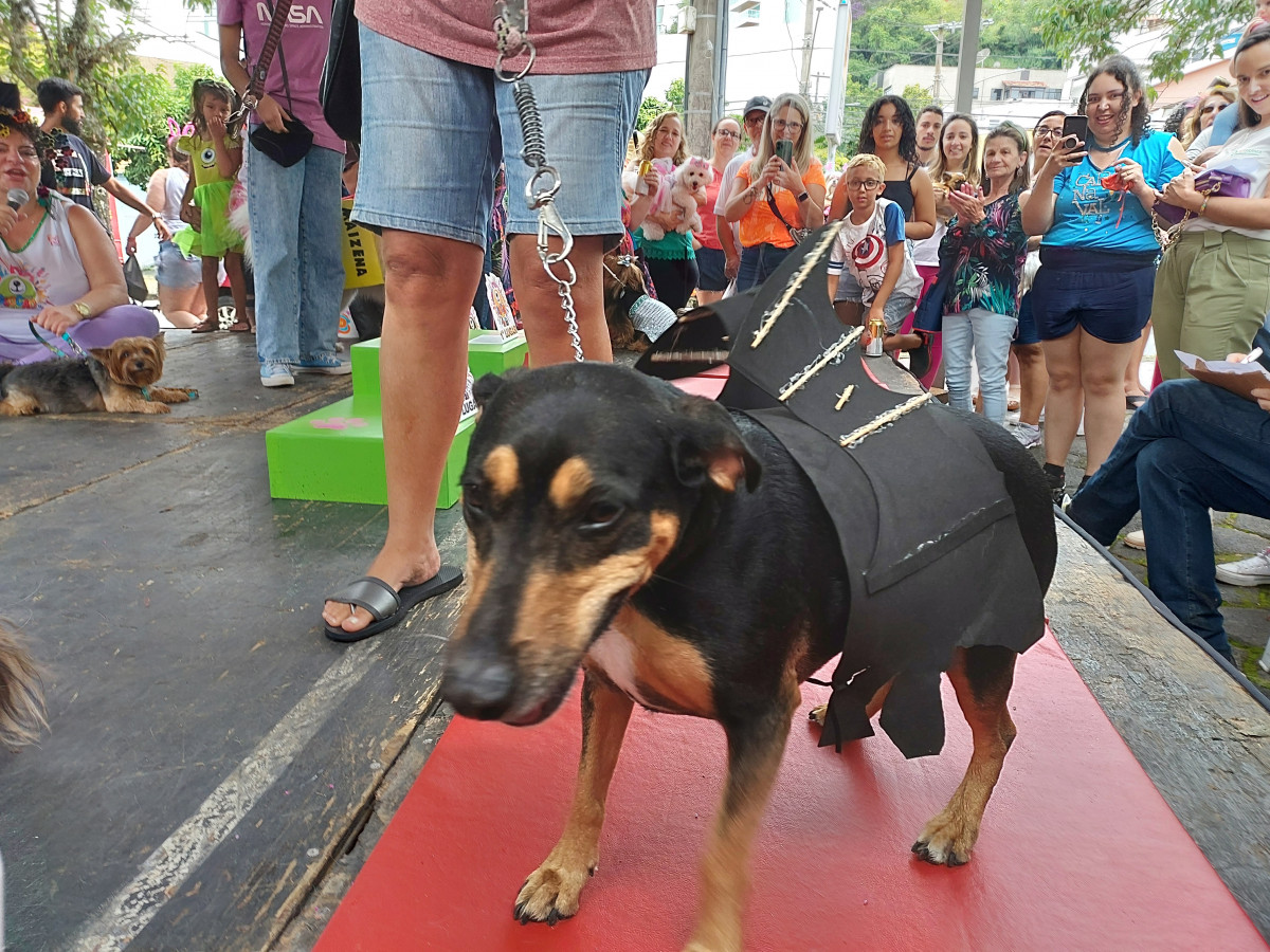 Cobertura fotográfica do Blocão 2023