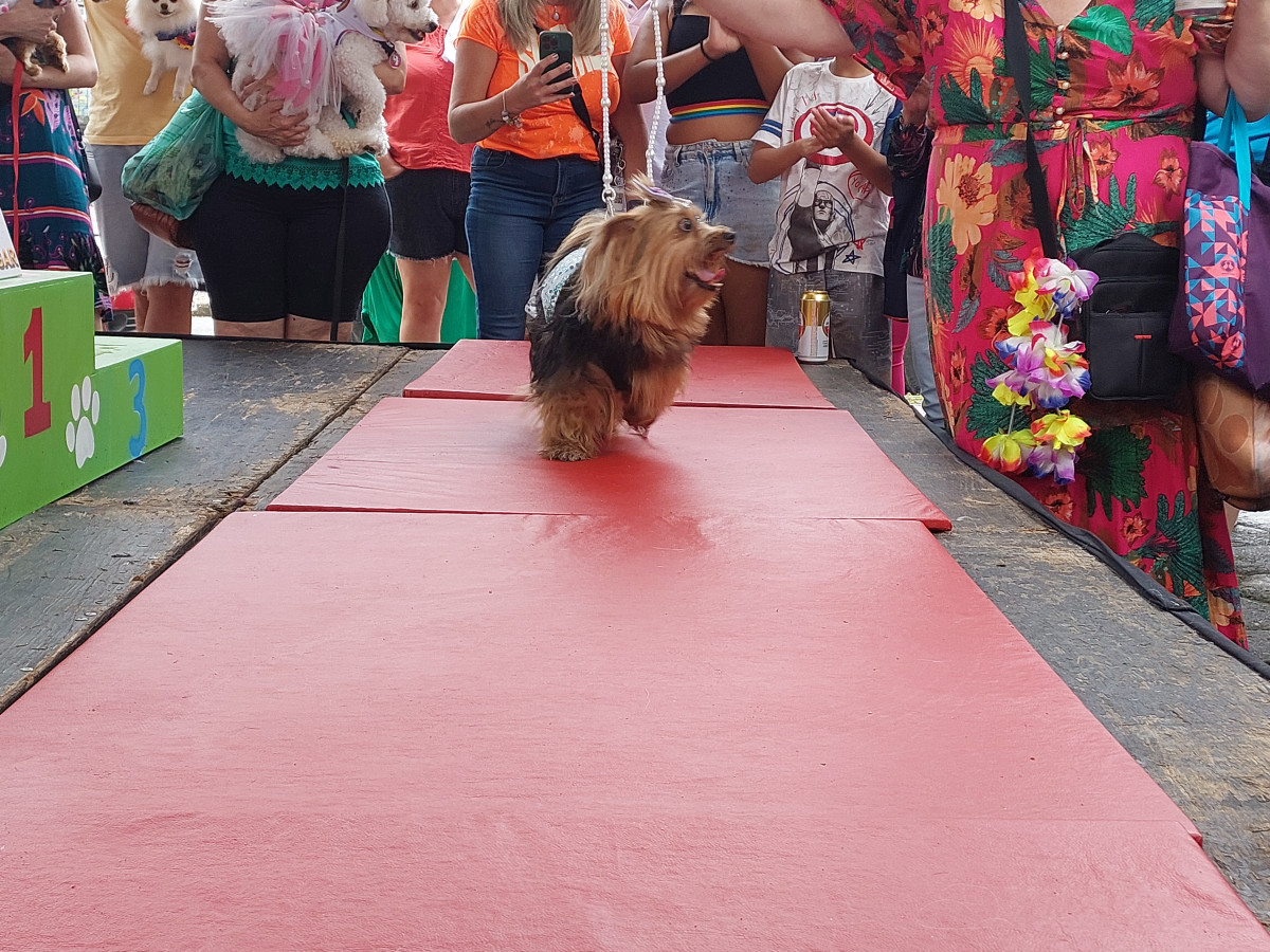 Cobertura fotográfica do Blocão 2023