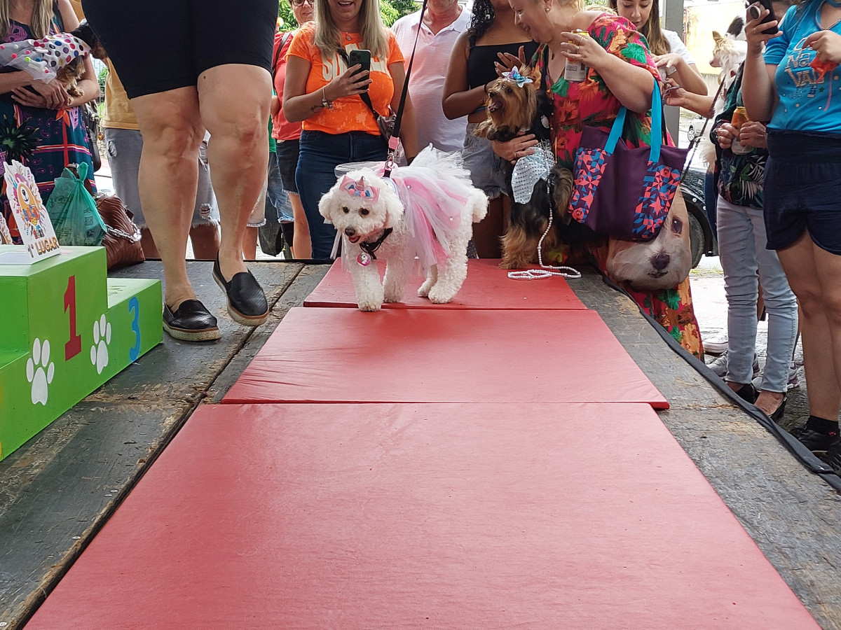 Cobertura fotográfica do Blocão 2023