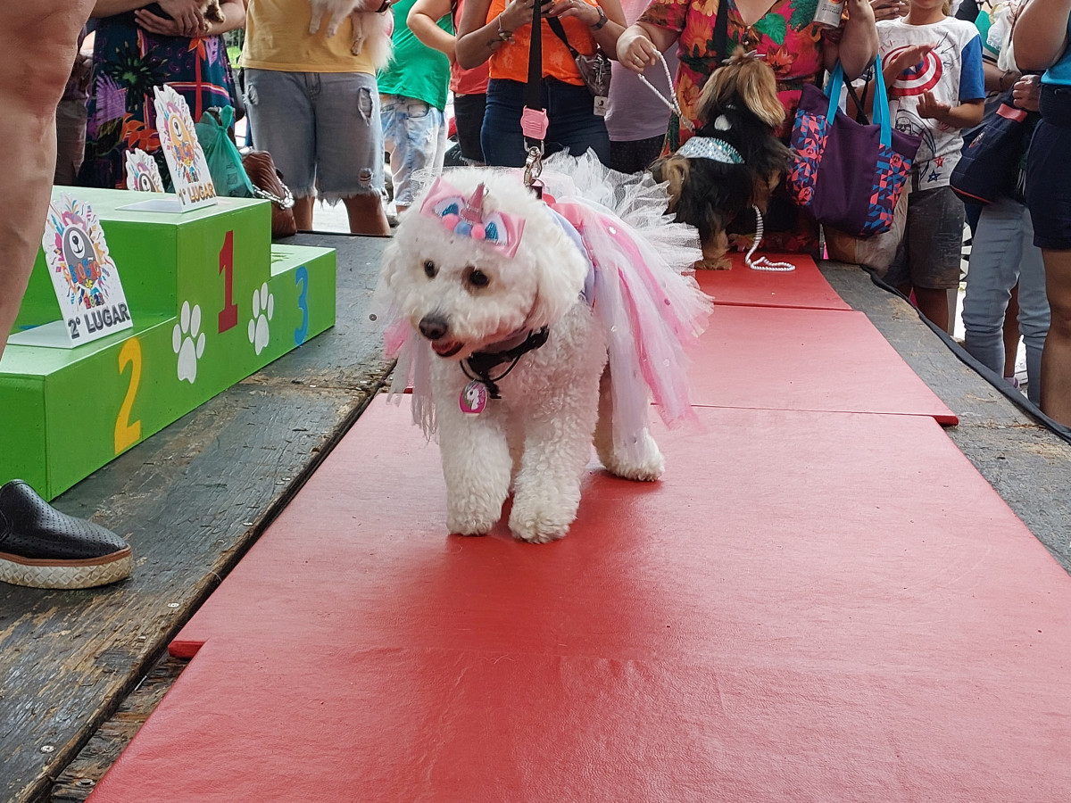 Cobertura fotográfica do Blocão 2023