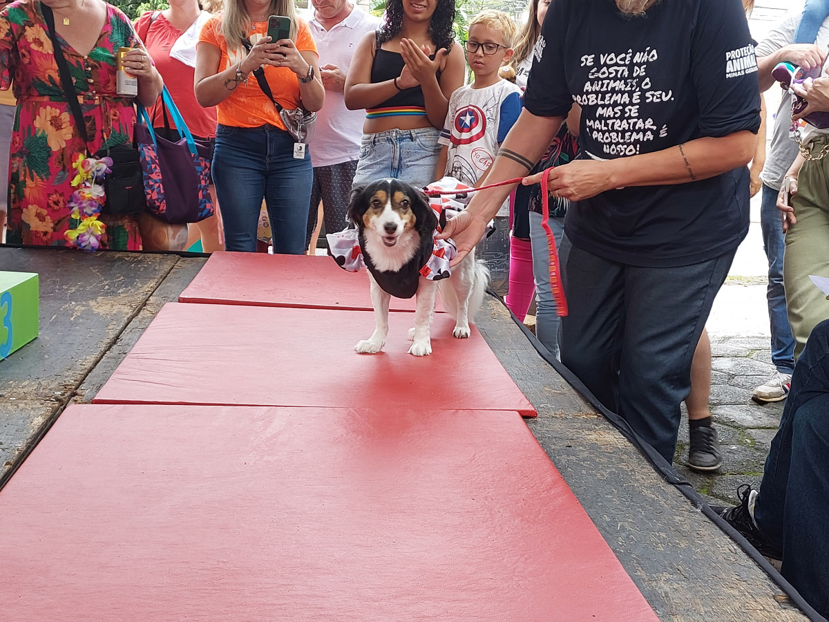 Cobertura fotográfica do Blocão 2023