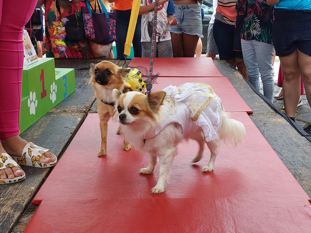 Cobertura fotográfica do Blocão 2023