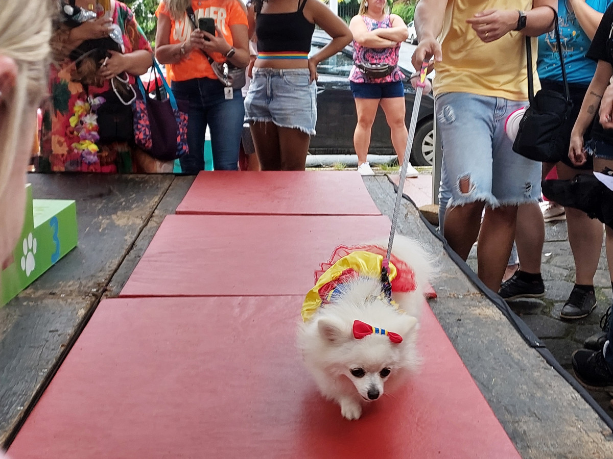 Cobertura fotográfica do Blocão 2023