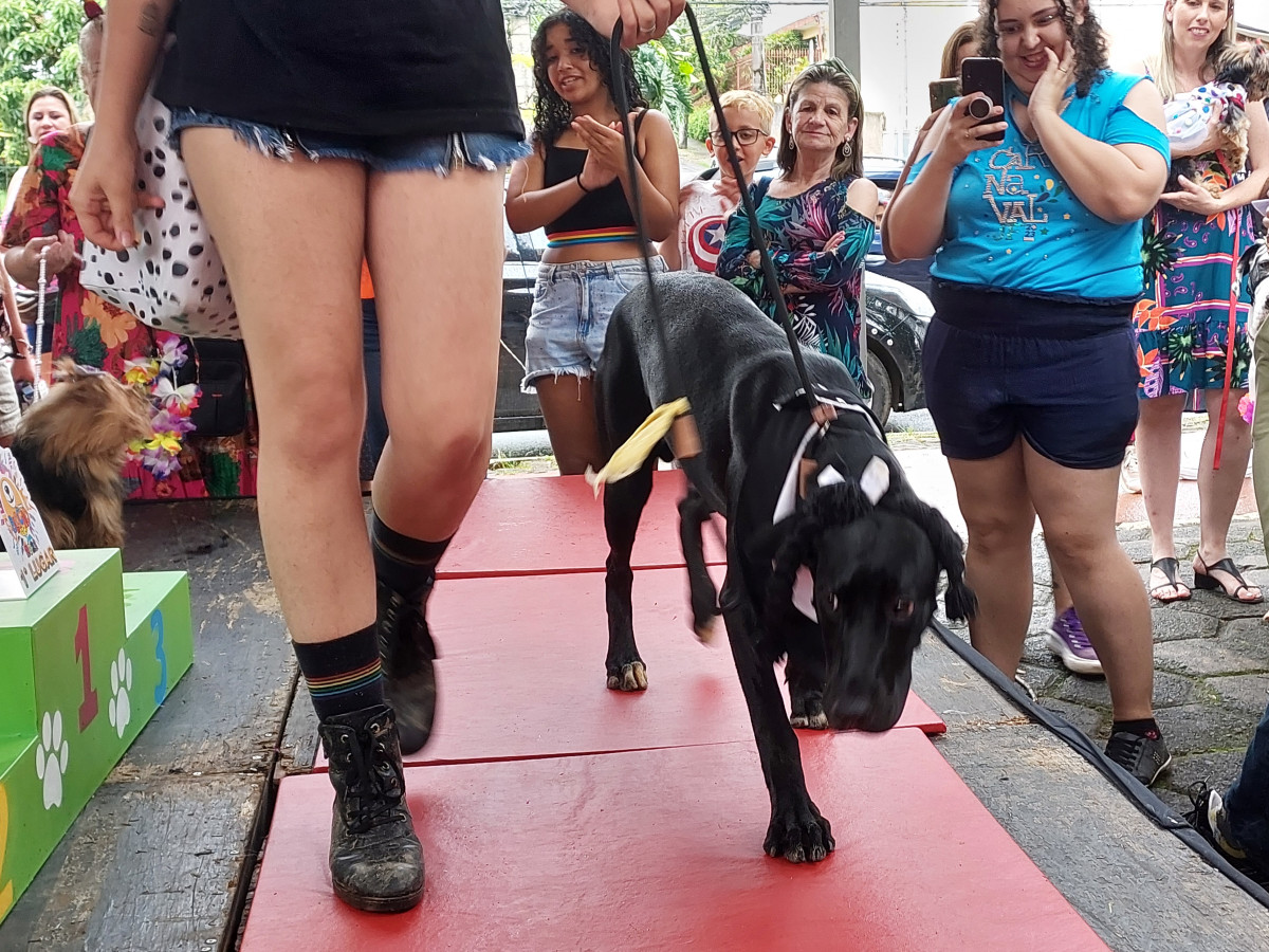 Cobertura fotográfica do Blocão 2023