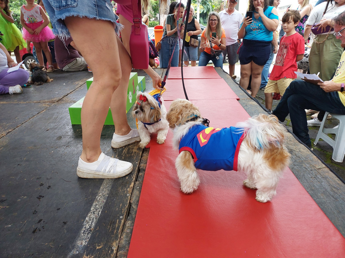 Cobertura fotográfica do Blocão 2023