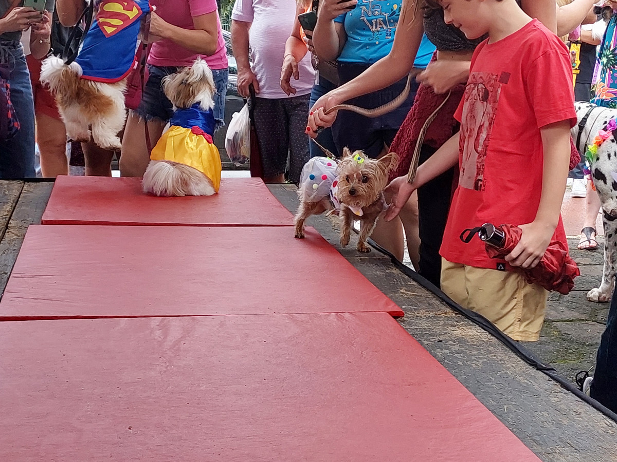 Cobertura fotográfica do Blocão 2023