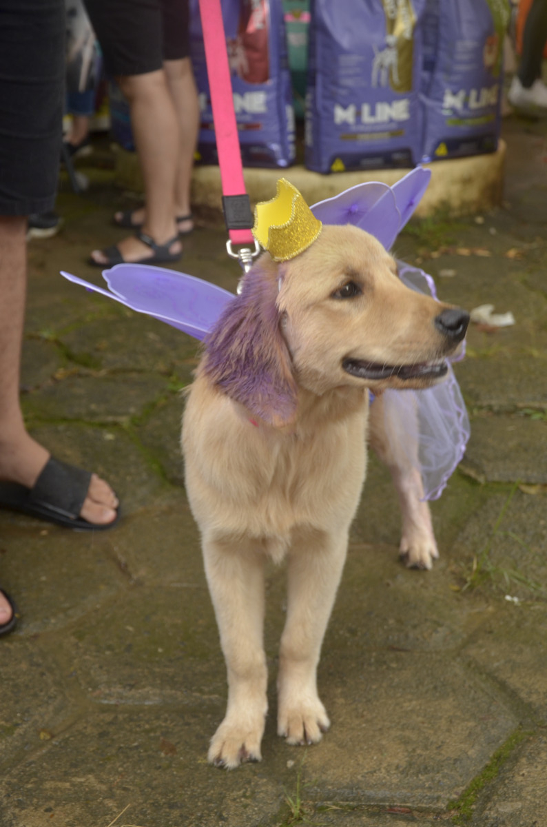 Cobertura Bloc&atilde;o JF 2023