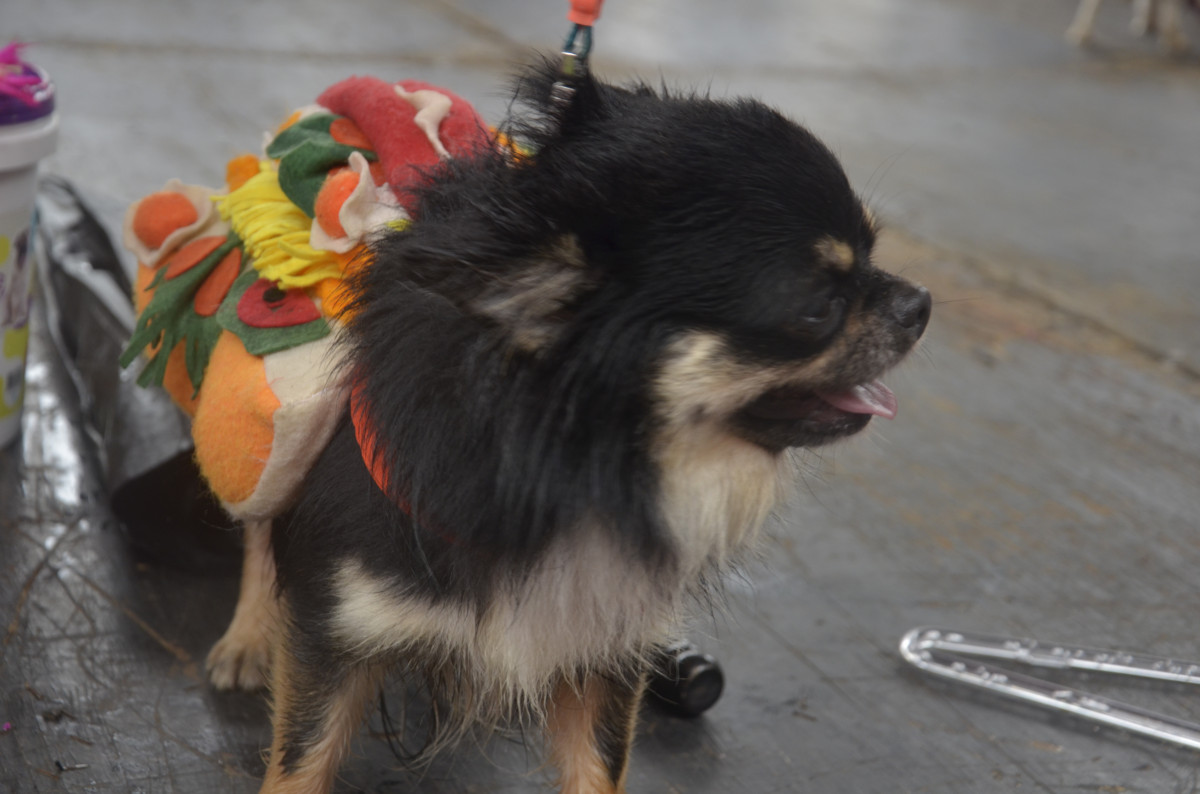 Cobertura fotográfica do Blocão 2023