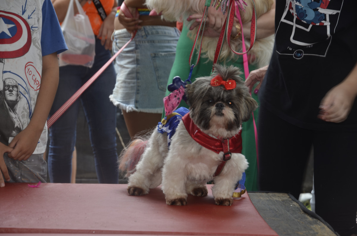 Cobertura fotográfica do Blocão 2023