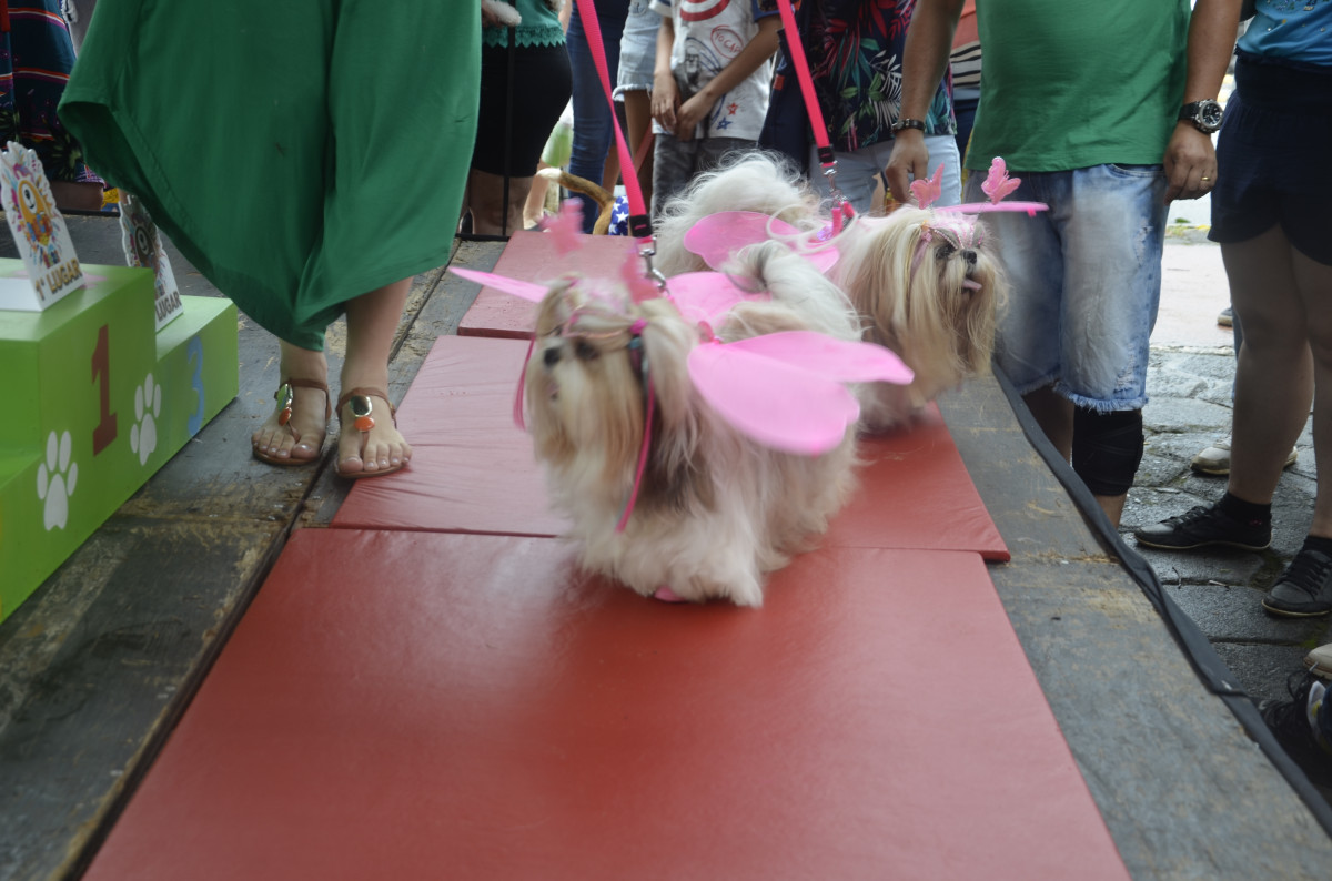 Cobertura fotográfica do Blocão 2023