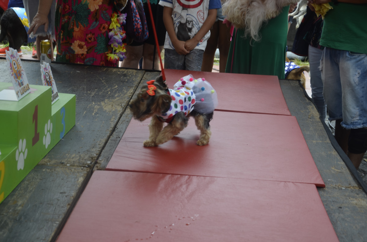 Cobertura fotográfica do Blocão 2023