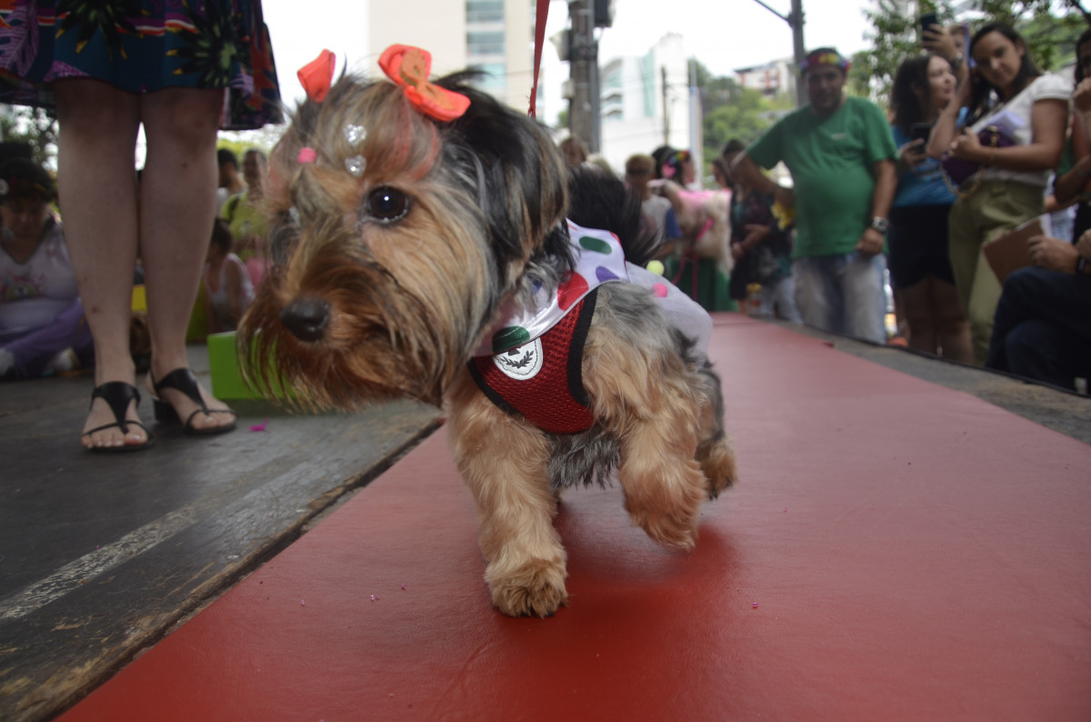 Cobertura fotográfica do Blocão 2023
