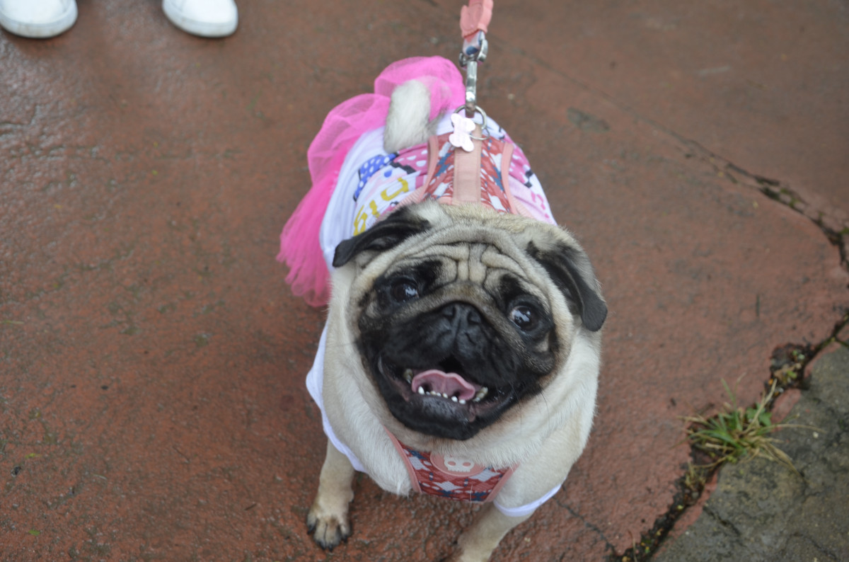 Cobertura fotográfica do Blocão 2023