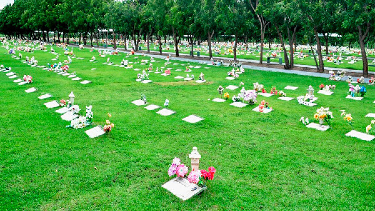 Parque da Saudade espera receber 15 mil visitantes 
