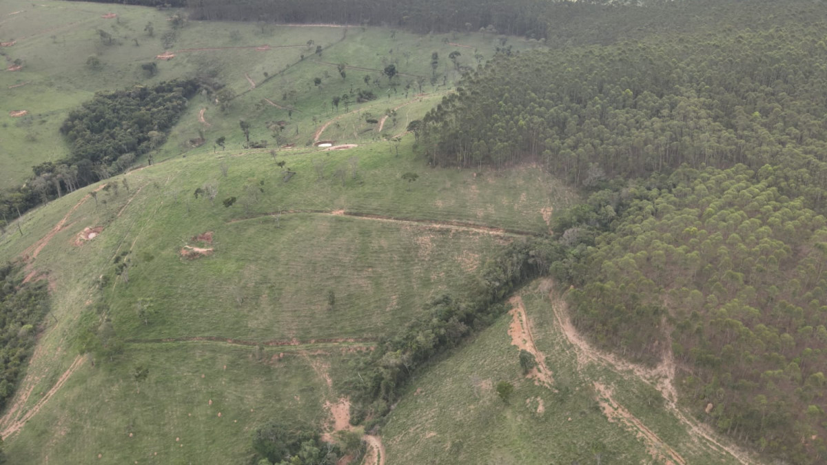 Desmatamento em SJDR