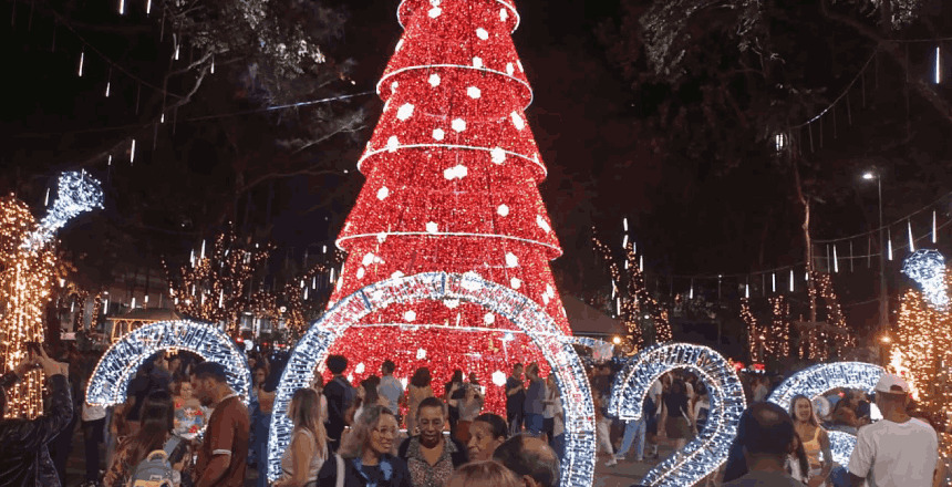 Reprodu&ccedil;&atilde;o