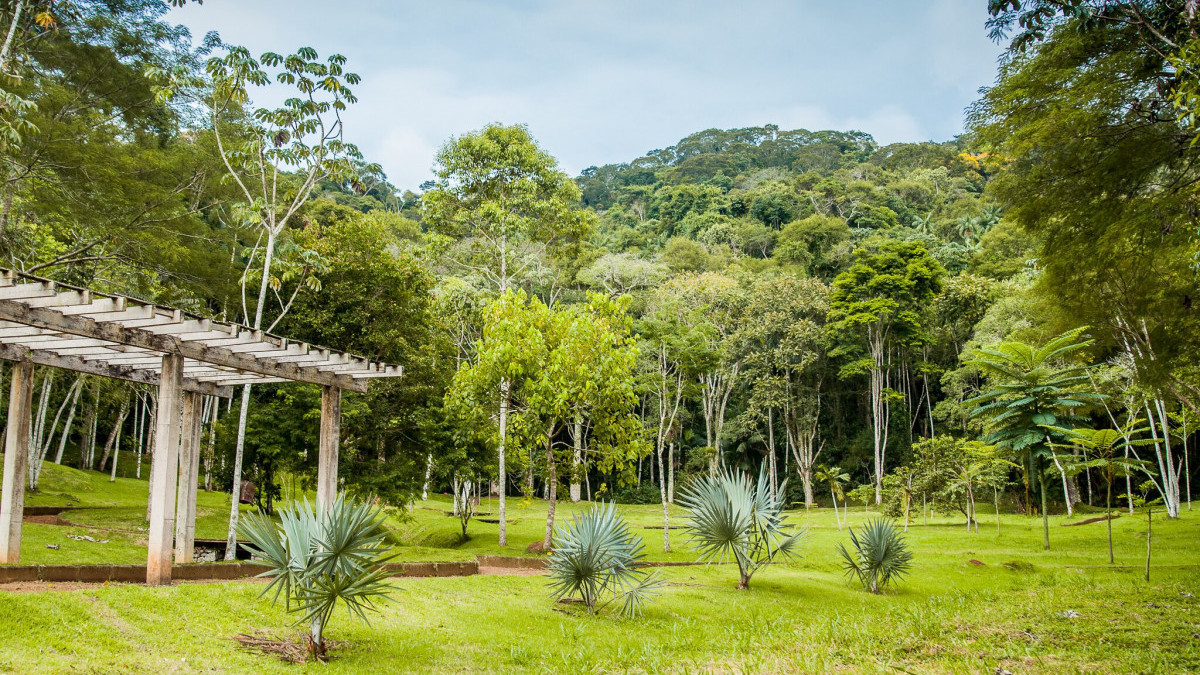 Jardim Bot&acirc;nico de Juiz de Fora