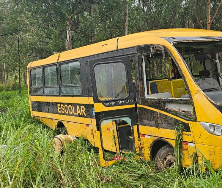 Reprodu&ccedil;&atilde;o