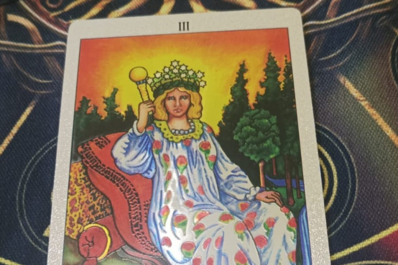 Reprodu&ccedil;&atilde;o