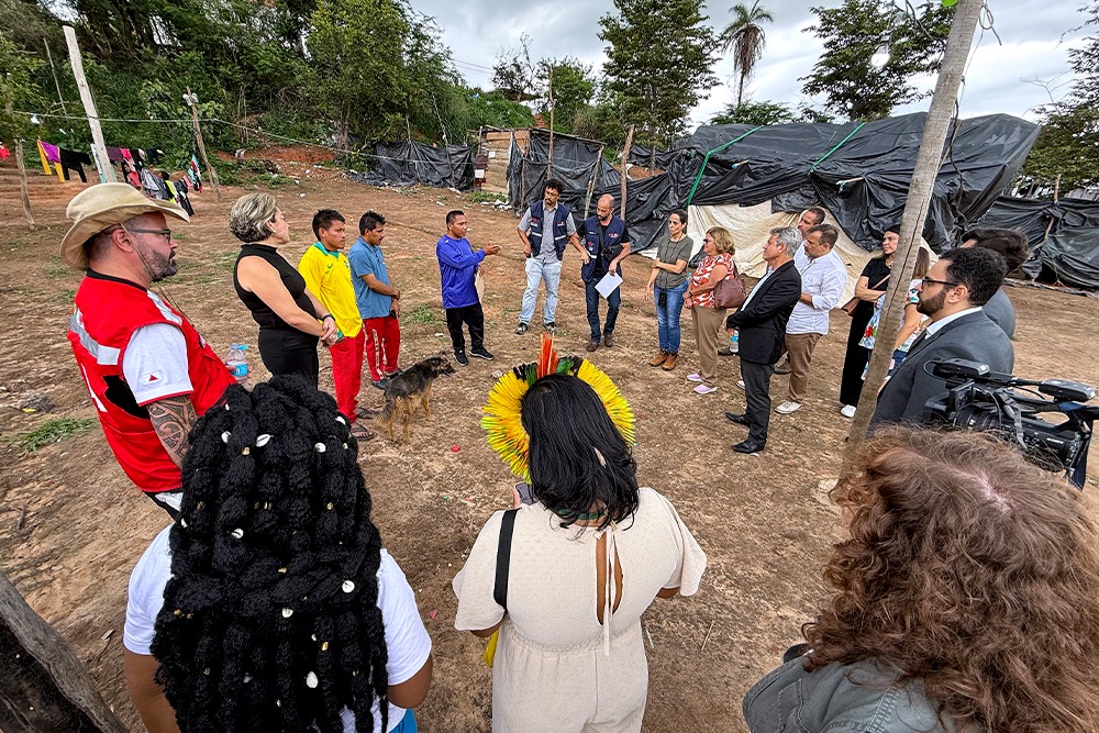 Reprodu&ccedil;&atilde;o