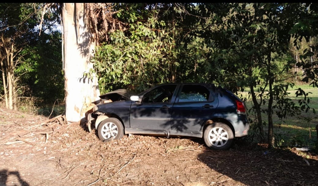 Reprodu&ccedil;&atilde;o