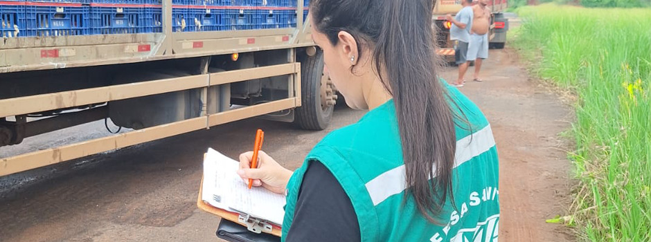 Divulga&ccedil;&atilde;o