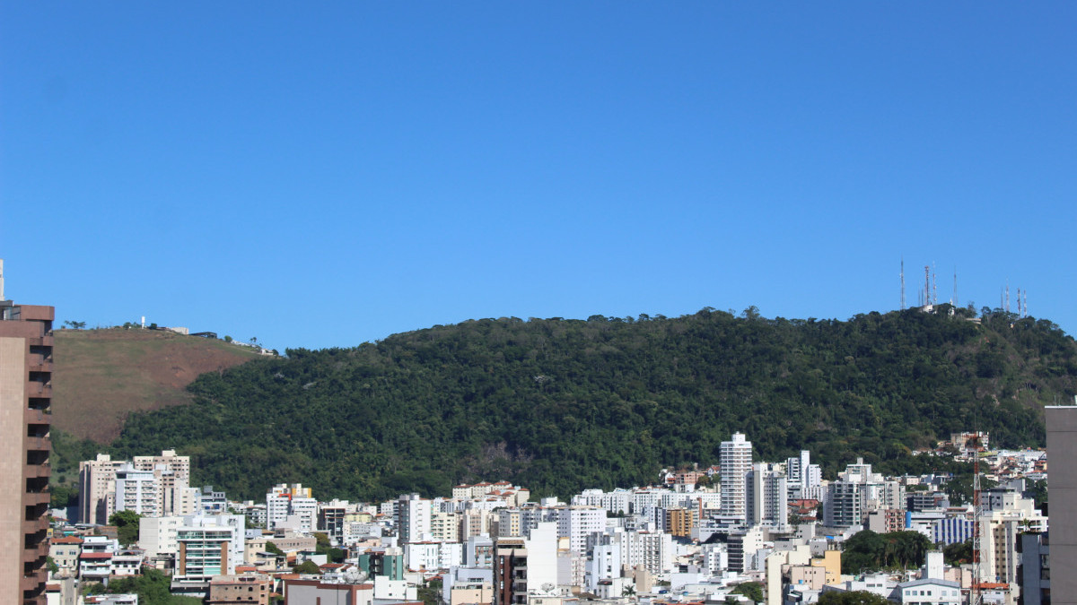 Reprodu&ccedil;&atilde;o