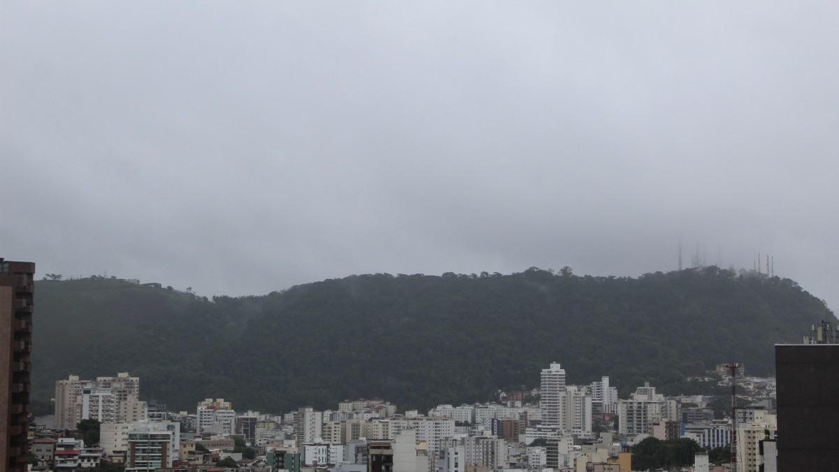 Reprodu&ccedil;&atilde;o