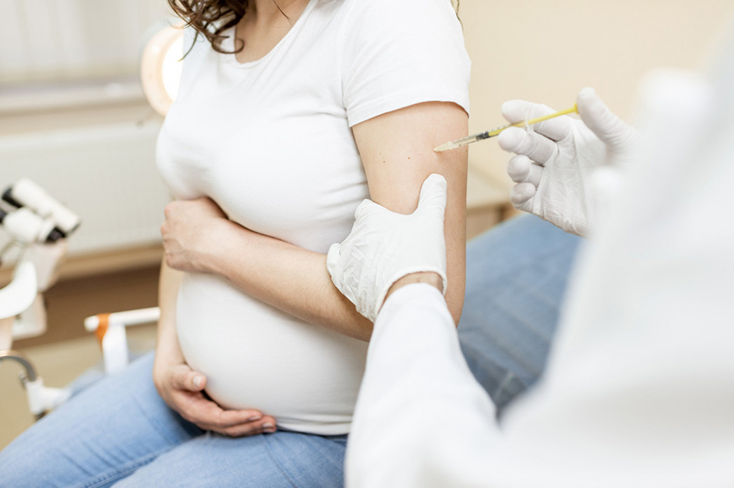 Reprodu&ccedil;&atilde;o