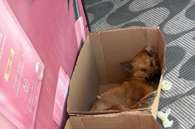 Reprodu&ccedil;&atilde;o