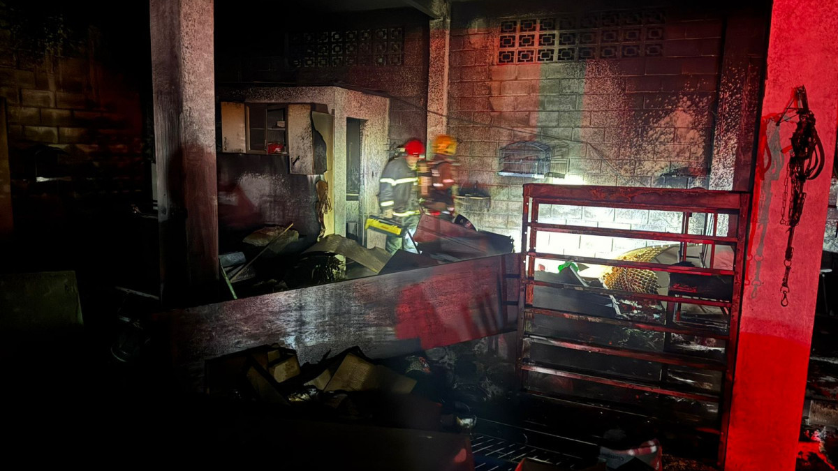 Reprodu&ccedil;&atilde;o