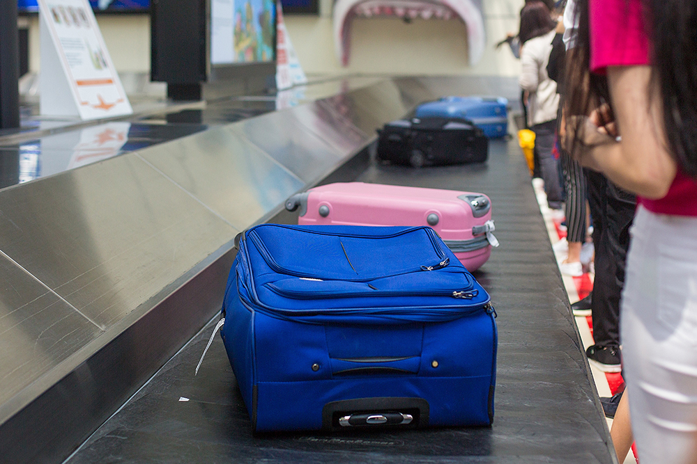 Reprodu&ccedil;&atilde;o