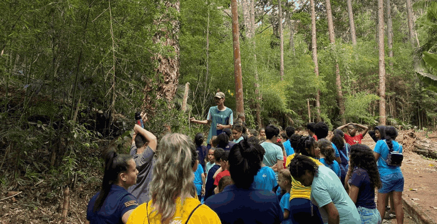 Reprodu&ccedil;&atilde;o