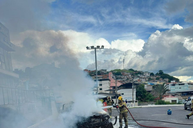 Reprodu&ccedil;&atilde;o