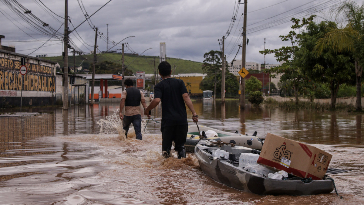 Reprodu&ccedil;&atilde;o
